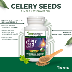 Celery Seed Extract Gout Relief 75 mg 150 Capsule