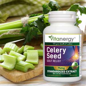 Celery seed extract supplement
