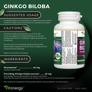 Ginkgo Biloba Phytosome 60 mg